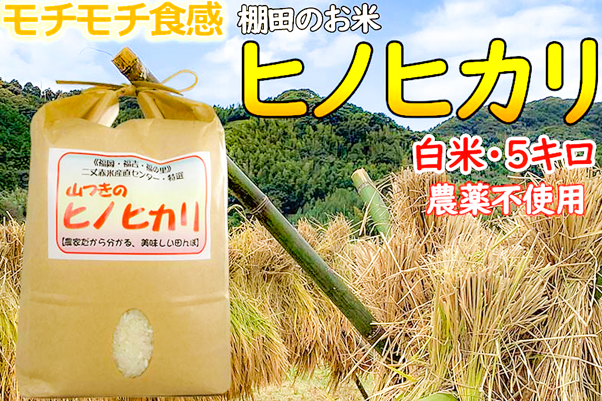 農薬不使用】九州を代表する山つきのお米「ヒノヒカリ」(2kg/5kg)