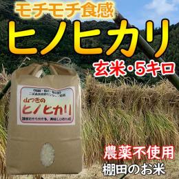 農薬を使わない栽培のお米<br>山つきのお米ヒノヒカリ5kg(完全玄米)