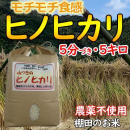 農薬を使わない栽培のお米<br>山つきのお米ヒノヒカリ5kg(5分づき)