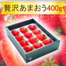 【贅沢いちご】エクセレント等級あまおう苺(400g)