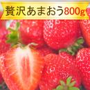 【贅沢いちご】エクセレント等級あまおう苺(800g)