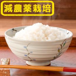 【減農薬栽培】九州を代表する山つきのお米「ヒノヒカリ」(2kg/5kg)