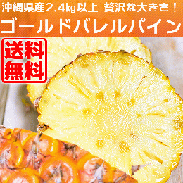 沖縄県でしか味わえない!ゴールドバレルパイン2.6kg以上(2玉入り)