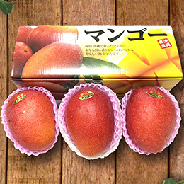 アップルマンゴー900g<br>沖縄産(2～4玉入り)