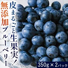 福岡県産 採れたて旬の生果実!無添加の船小屋ブルーベリー【350g×2パック】