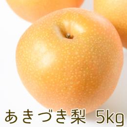 うきはの湧き水で育った完熟梨「あきづき」【5kg/送料無料】