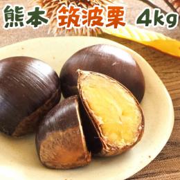 熊本県産 甘い香りの筑波栗【4kg】