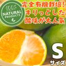 有機温州みかんSサイズ　佐賀県鹿島産