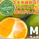 有機温州みかんMサイズ　佐賀県鹿島産