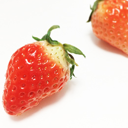 佐賀産 さがほのか 1kg