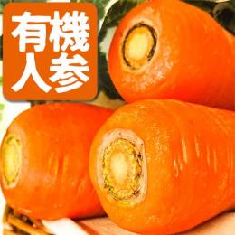 熊本産有機にんじん10㎏【ジュース用に】
