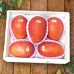 アップルマンゴー2kg<br>沖縄産(4〜7玉入り)